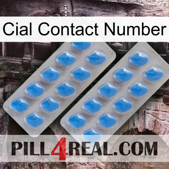 Cial Contact Number 23.jpg